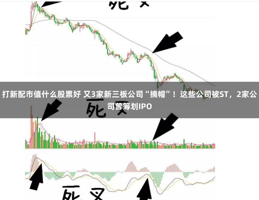 打新配市值什么股票好 又3家新三板公司“摘帽”！这些公司被ST，2家公司曾筹划IPO